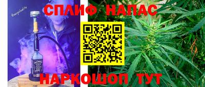 стафф Заводоуковск